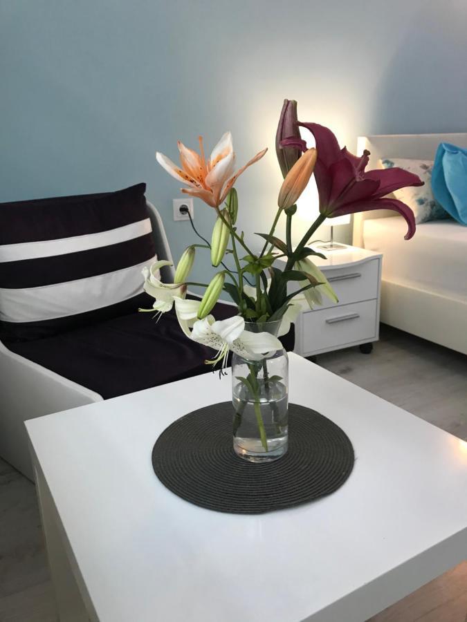 White Rose Guest Rooms Burgas Exteriör bild