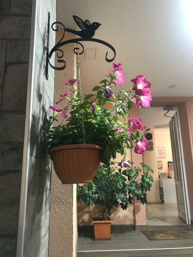 White Rose Guest Rooms Burgas Exteriör bild